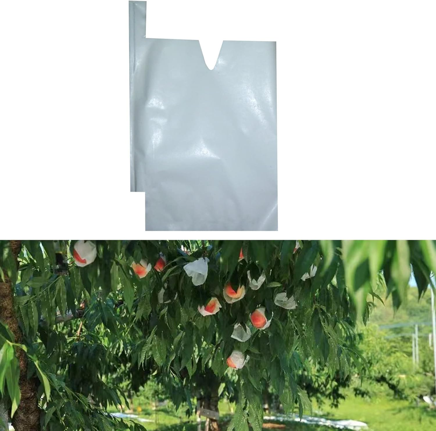 Houwana Fruit Protection Paper Bags 100Pcs White Protection Cover Bags 6.2X7.7Inch, Fruit Bags for Fruit Trees, Orchard, Trees, Frost, Plants (16X20) image number 4