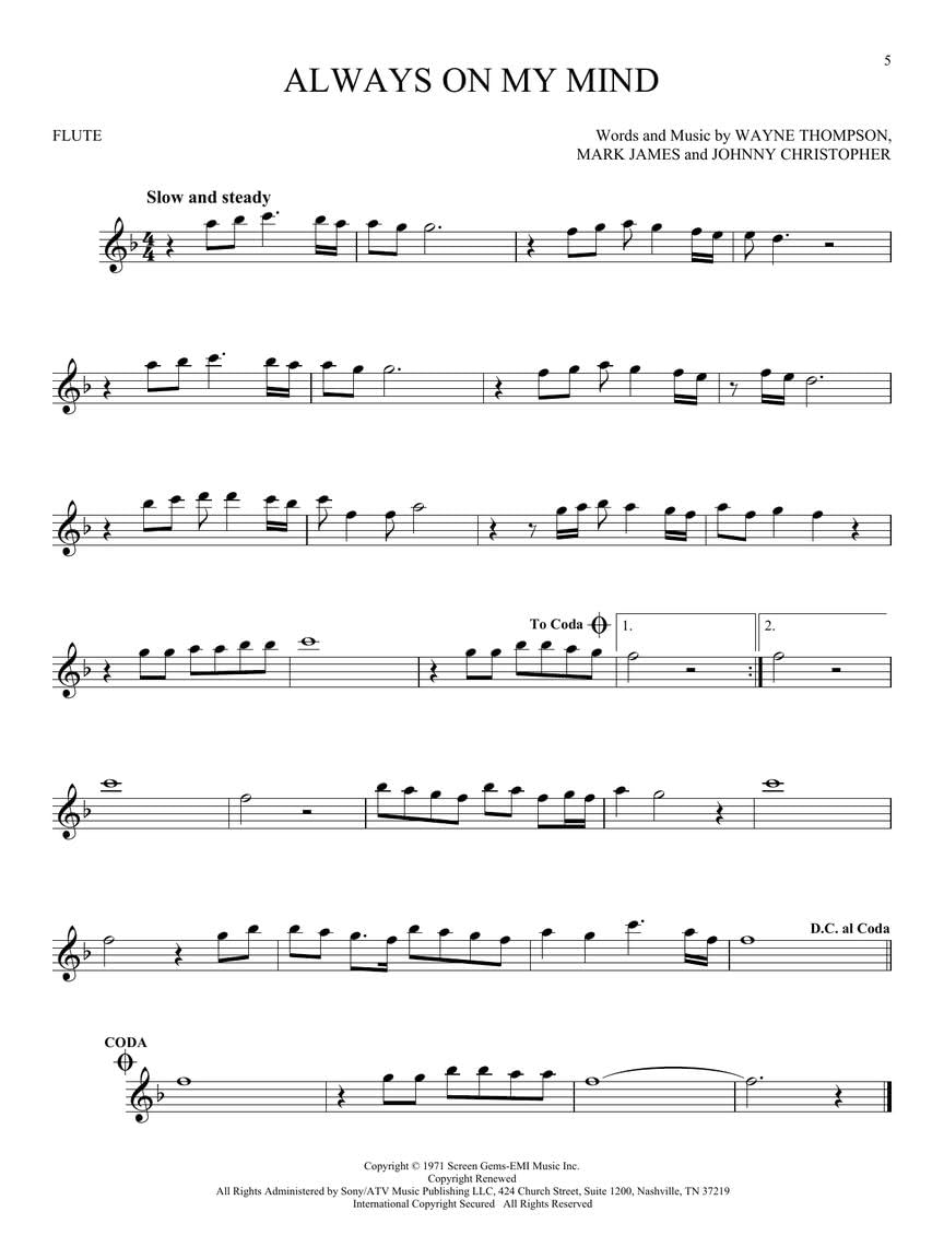 101 Most Beautiful Songs for Flute image number 3