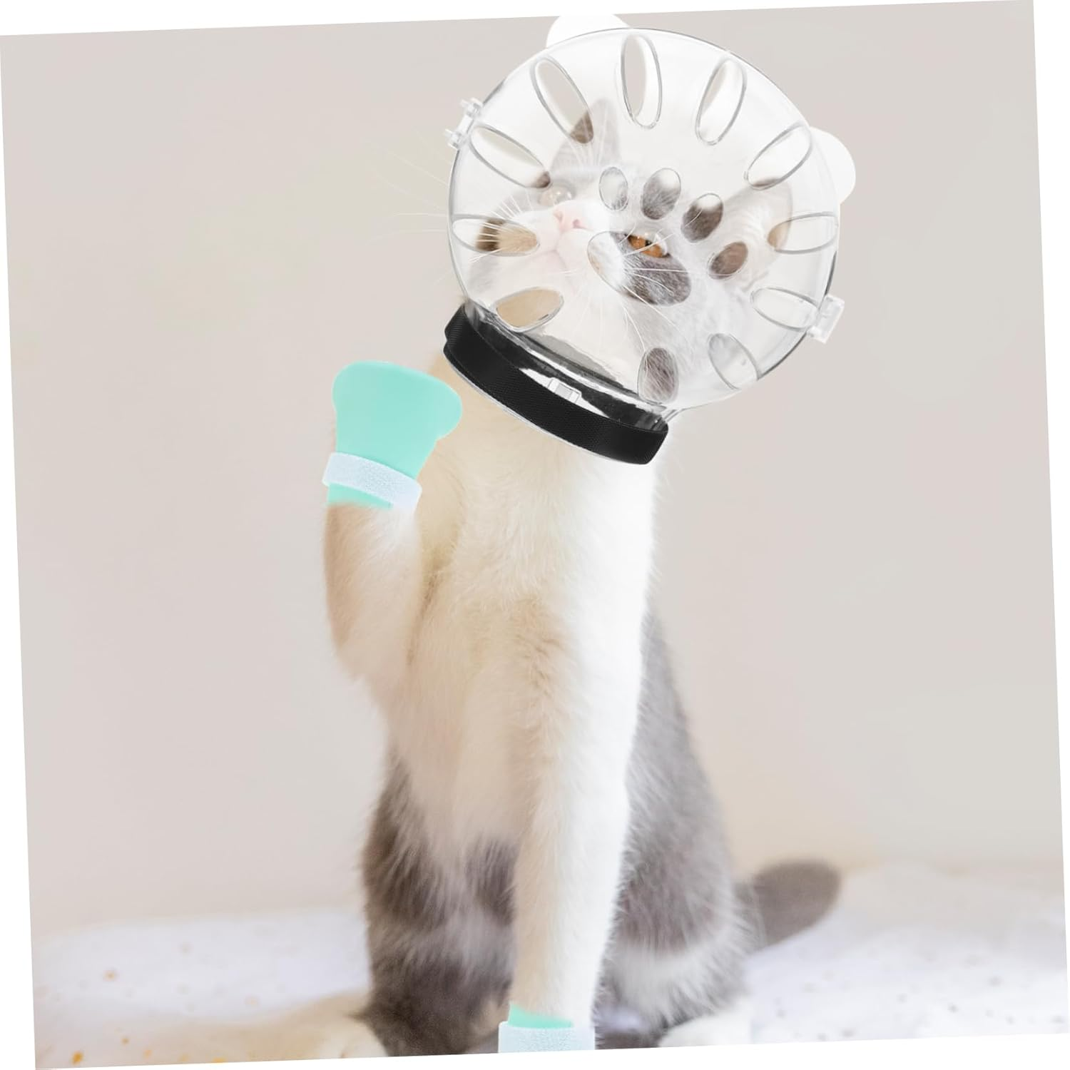 Mipcase 1 Set Cat Muzzles for Biting Bath Accessories for Cats Transparent Cat Face Protection Mouth Guard for Cats Muzzle for Pets Cat Helmet round Cat Accessories Silica Gel image number 6