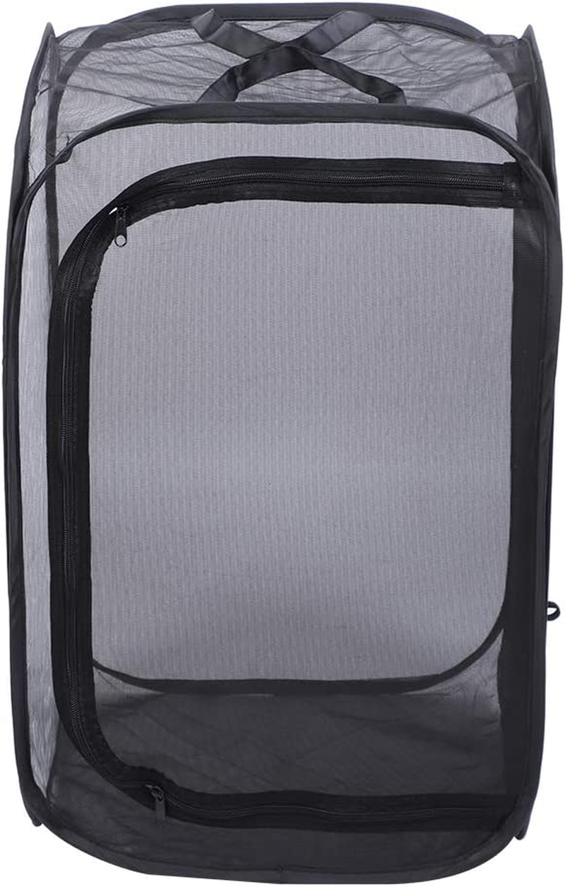 Insect Mesh Cage, Strong Visibility Durable Ventilated Insect Cage Foldable Reusable Smooth Zipper Large Space for Families for School Laboratory for Students image number 1