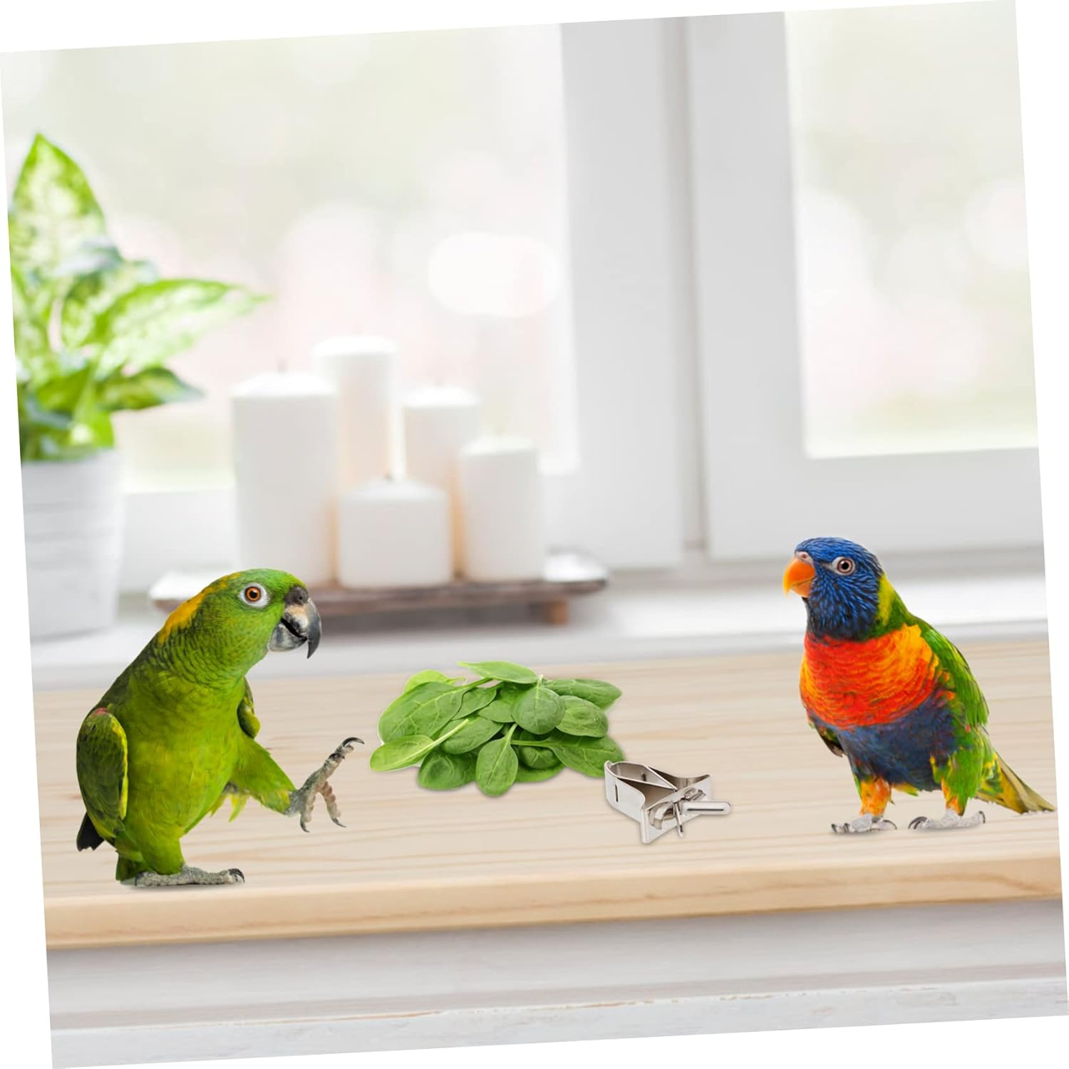 TEHAUX Bird Cage Food Feeding Clamp Parrot Feeding Clamp 2Pcs Metal Bird Food Clips Easy Install Non-Slip Durable Material