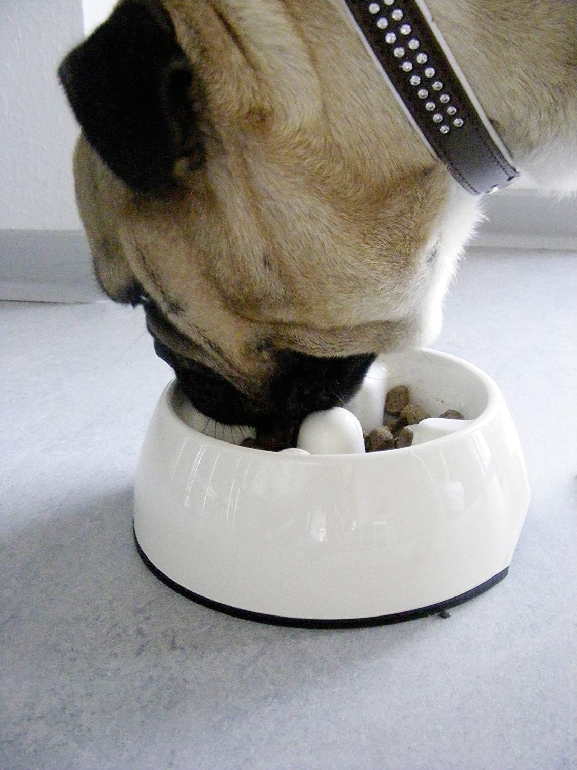 Dogit Dog Bowl Slow Feeder for Wet or Dry Dog Food, Go Slow Anti-Gulping Dog Dish, White, S image number 4