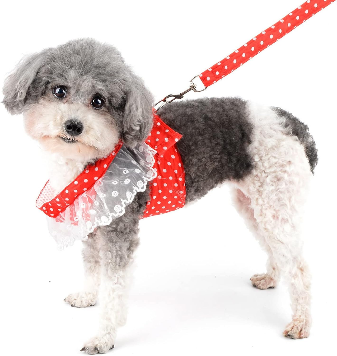 Zunea No Pull Dog Vest Harnesses for Small Dogs Cats Polka Dots Puppy Girls Harness and Lead Set Soft Breathable Mesh Harness Dress with Bowknot Lace Neck Pet Apparel for Chihuahua Yorkie Red XXL image number 4