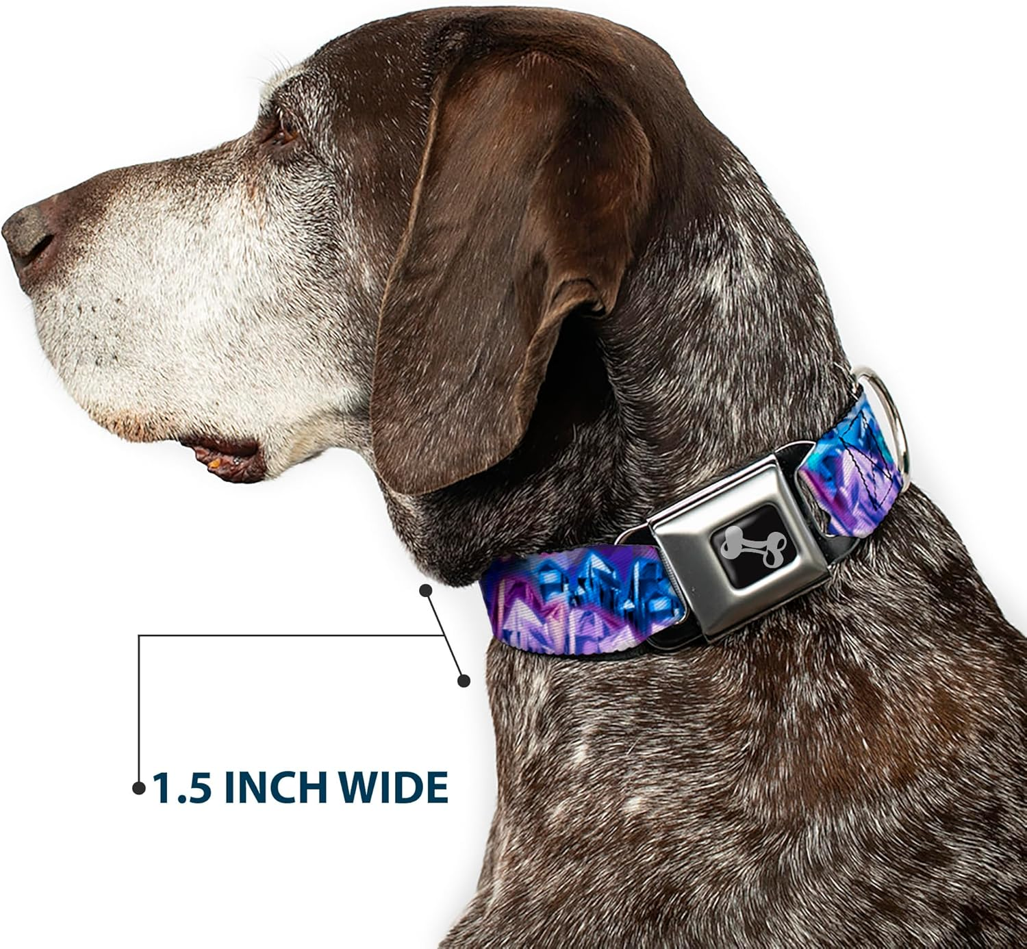 Buckle-Down 9-15" Crystals2 Blues/Purples Dog Collar Bone, Small image number 5