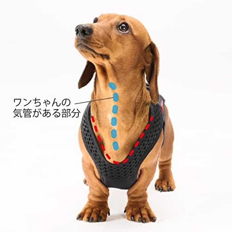 Aniful Dog Coll with M [Dog Corset] Black image number 2