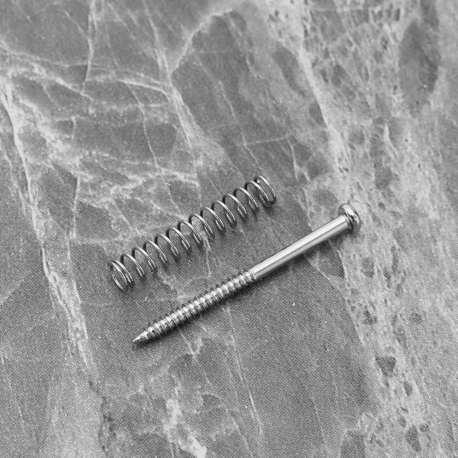 Ecsing 20 Sets Pickup Mounting Screws Pickup Springs Kit for Electric Guitar Musical Instruments Replacement Accessories Silver image number 2