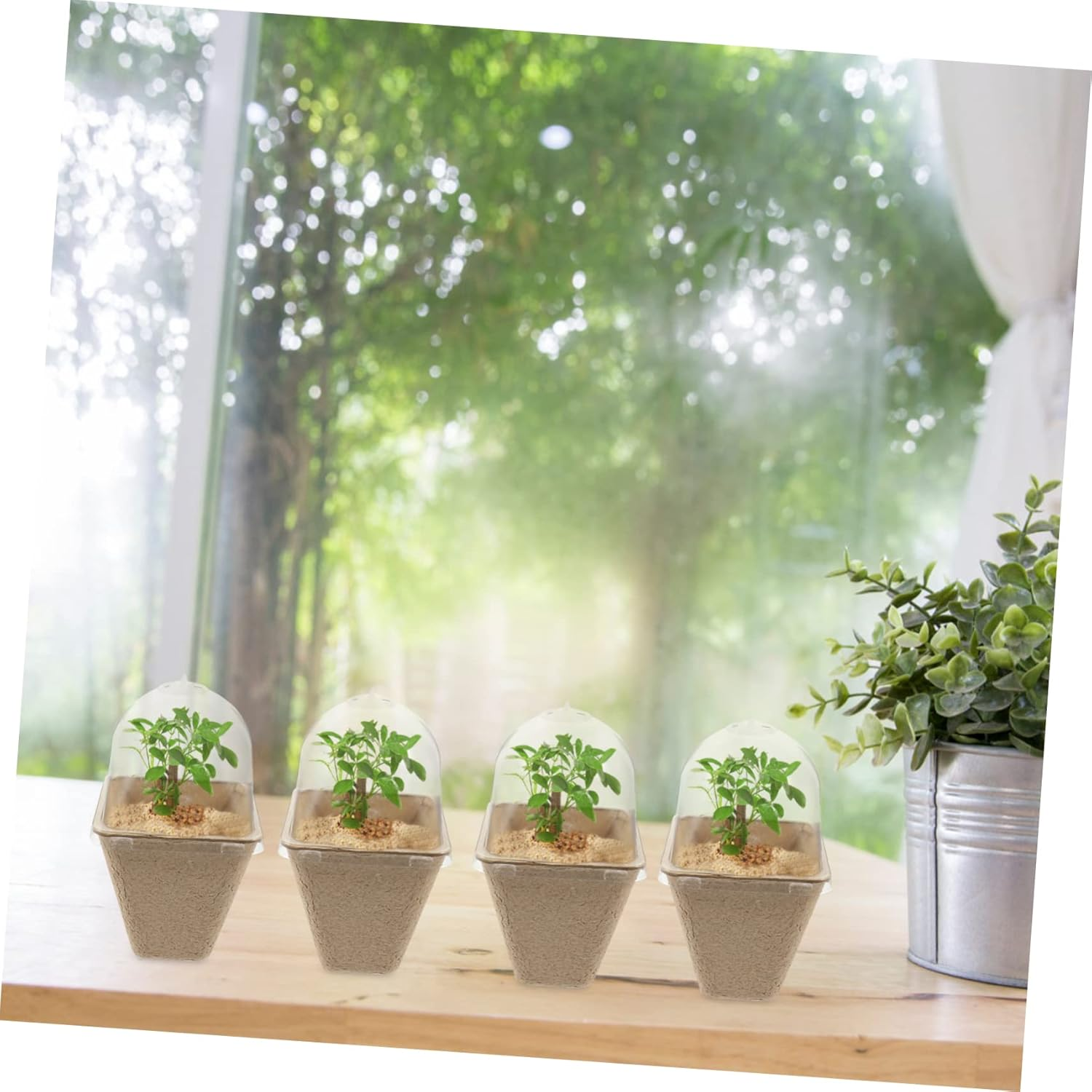 20Pcs Flower Pots for Outdoor Plants Pulp Trays Air Vent Moisture Retention image number 6