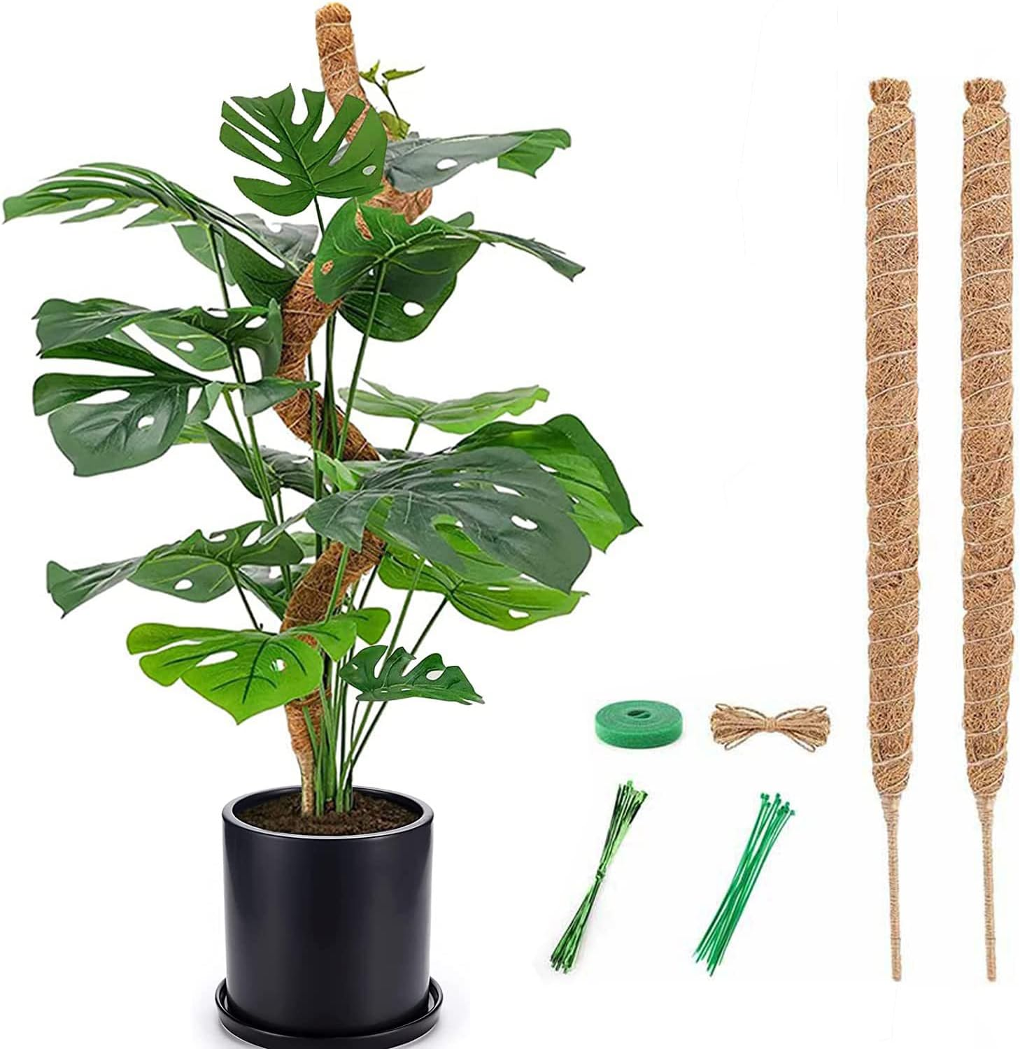 Moss Pole for Plants Monstera, 2PCS 25'' Bendable Plant Sticks Support, Plant Stakes for Indoor Plants, Coco Coir Pole Plant Support, Monstera Moss Pole for Climbing Plants Growth (25" * 2Pcs) image number 3