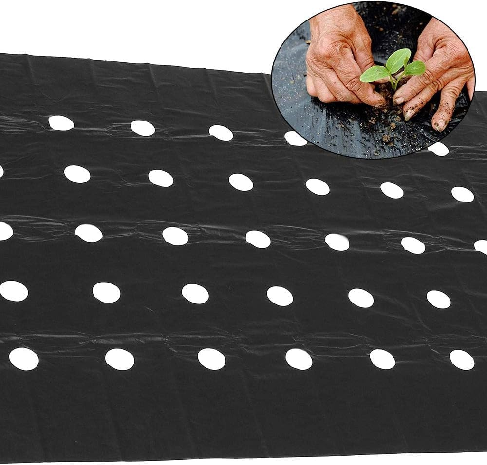 Garden Vegetable Mulch Film, Garden Plastic Film, 4 Ft X 38 Ft Agricultural Plant Grow Greenhouse Perforated PE 5 Holes for Potato, Tomato, Eggplant, Strawberry