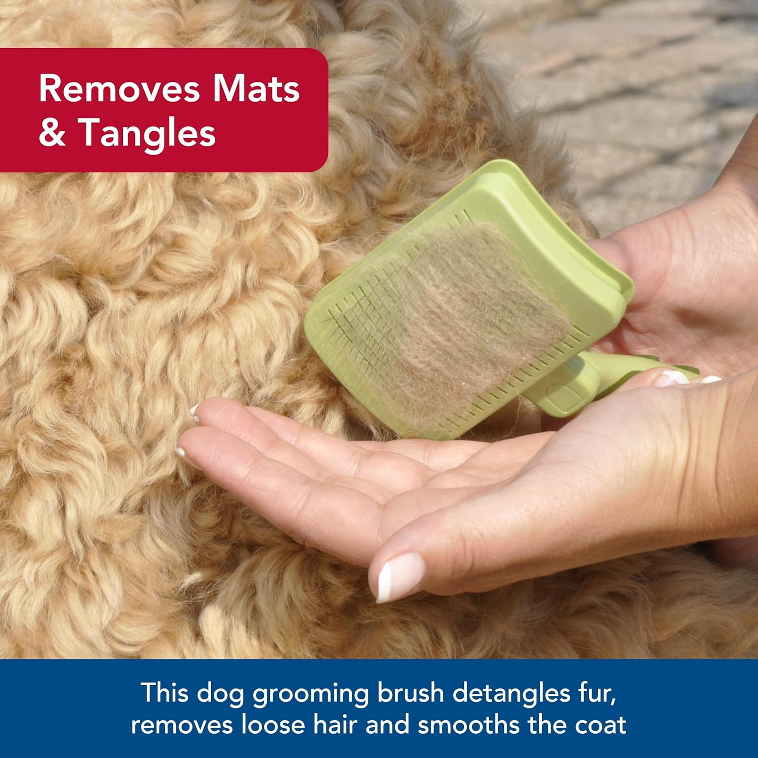 Safari Self-Cleaning Slicker Brush for Dogs (Large), Pet Supplies, Grooming Tools, Accessories, Brushes for Shedding image number 2