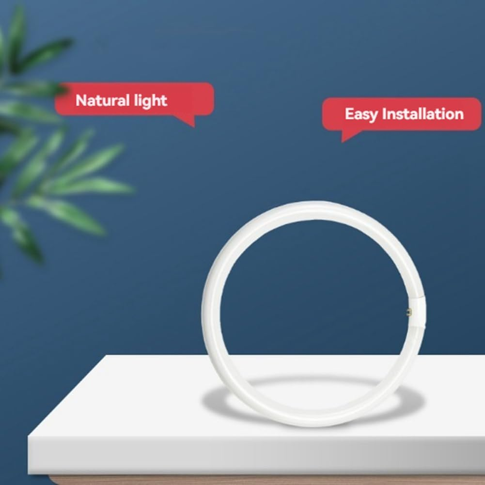 Xelea 2Pcs FC8T9/CW Circular Fluorescent Light Bulb,8Inch round T9 22W Circline Bulbs Replacement for Circle Ceiling Fixture image number 3