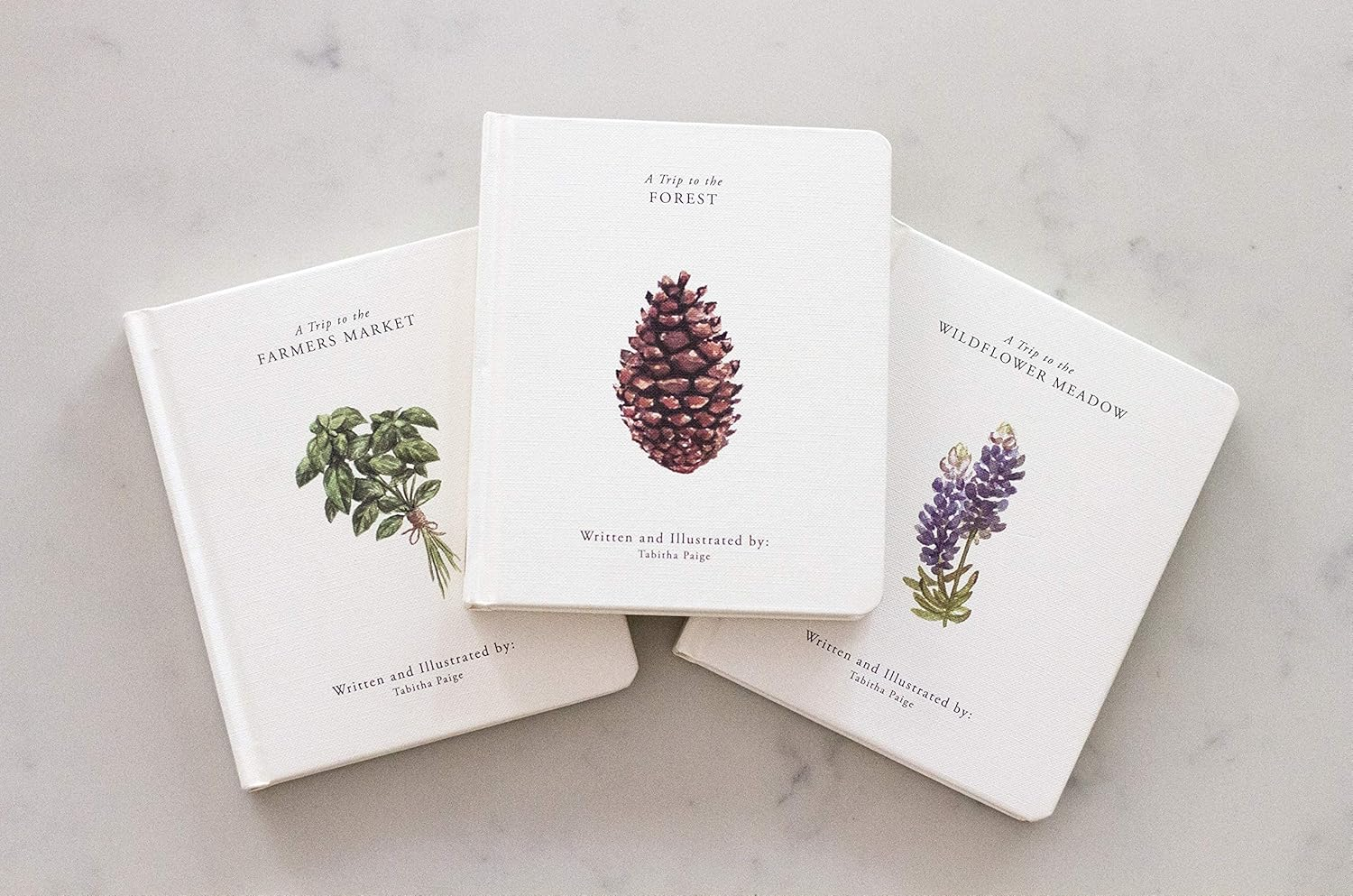 Our Little Adventures: Stories Featuring Foundational Language Concepts for Growing Minds image number 5