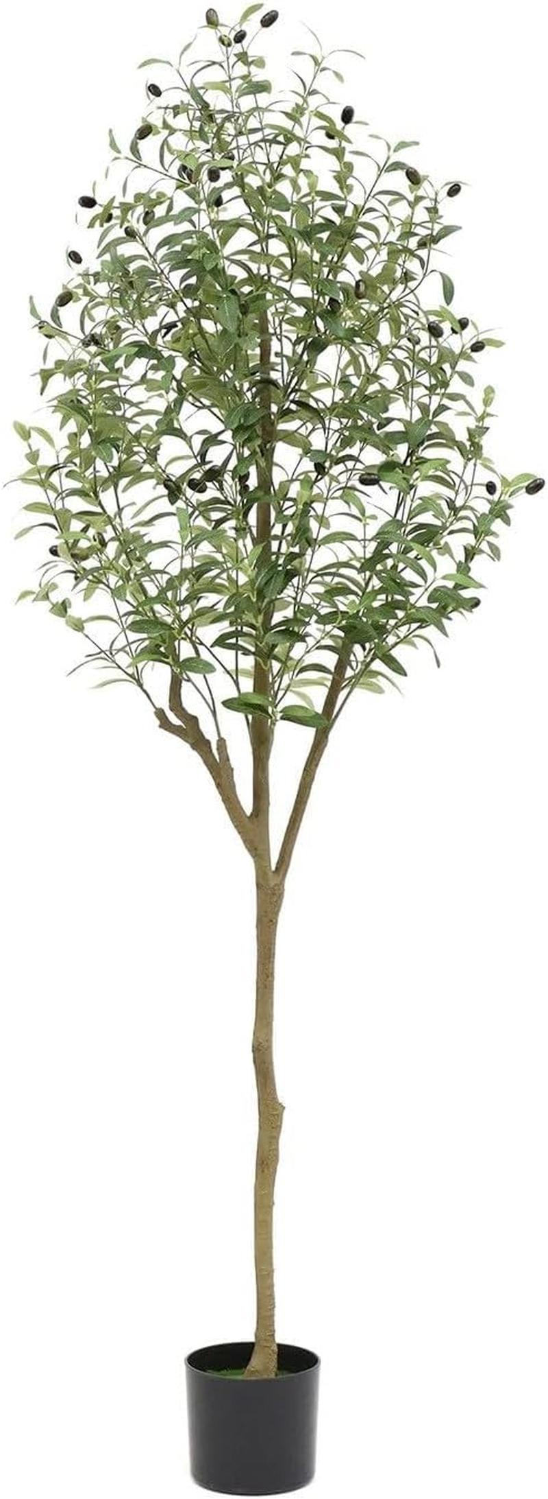 6FT Artificial Olive Tree &ndash; Realistic Faux Olive Tree with Fruits and Adjustable Branches &ndash; Lifelike Indoor Plant for Living Room, Office, Bedroom & Corner Decor &ndash; Potted Decorative Tree (180Cm Tall) image number 2