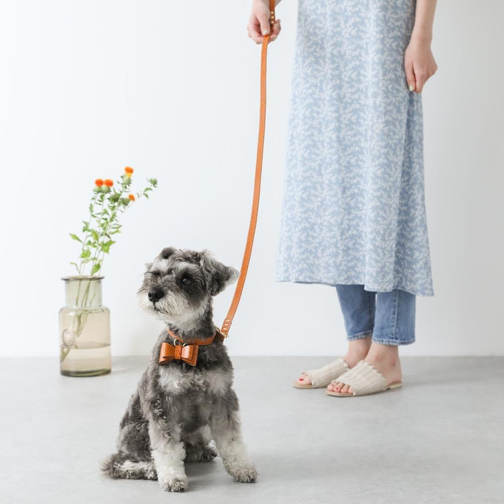 Moncheri Moncheri Dog Collar, Austrian Leather Ribbon Pendant Collar/Camel/M, Cute, Fashionable, Popular, Brand, Toy Poodle, Chihuahua, Small Dogs, Medium Dogs image number 5