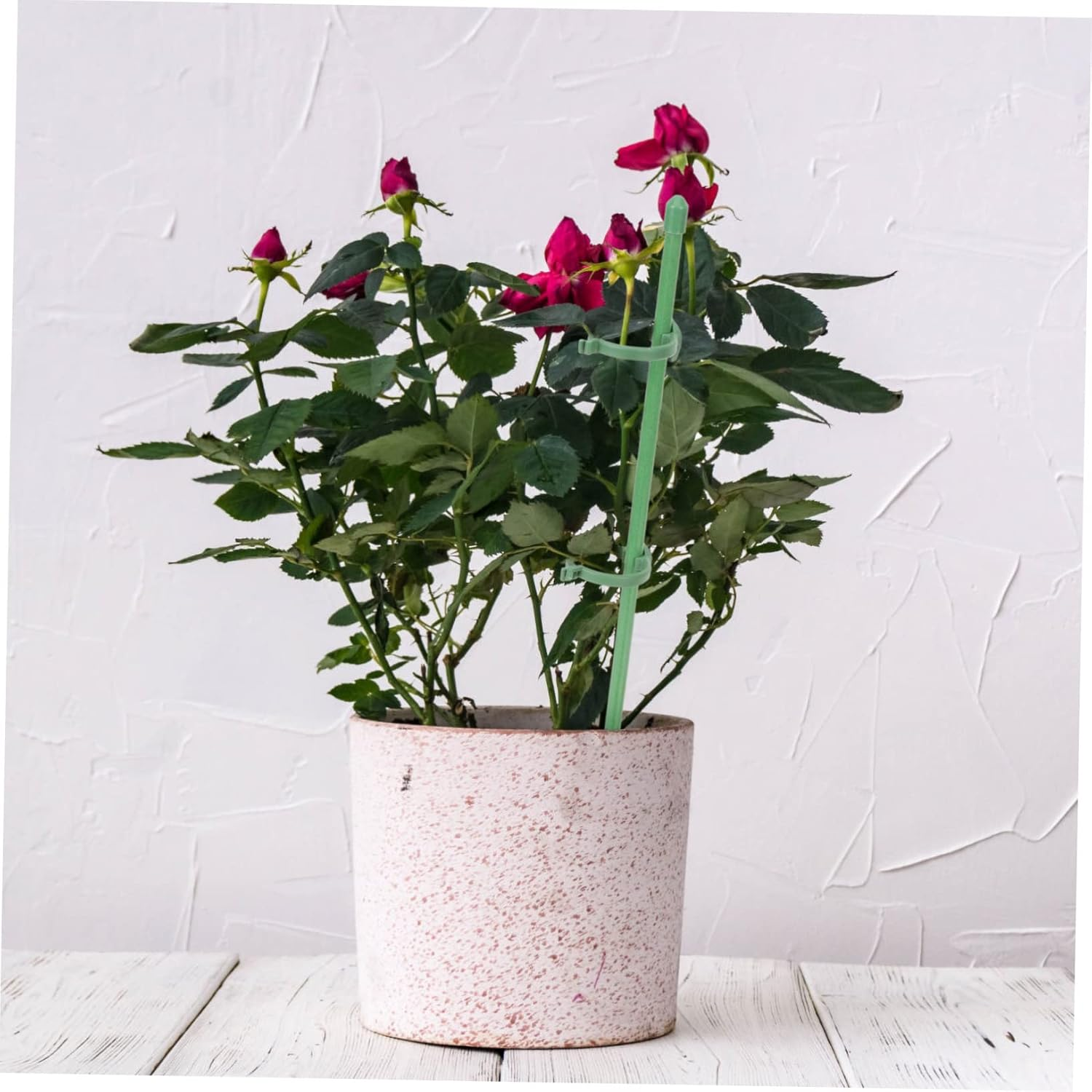 FONDOTIN 10 Pcs Garden Plant Support Stakes Single Stem Plant Stakes and Roses for Gardening image number 6