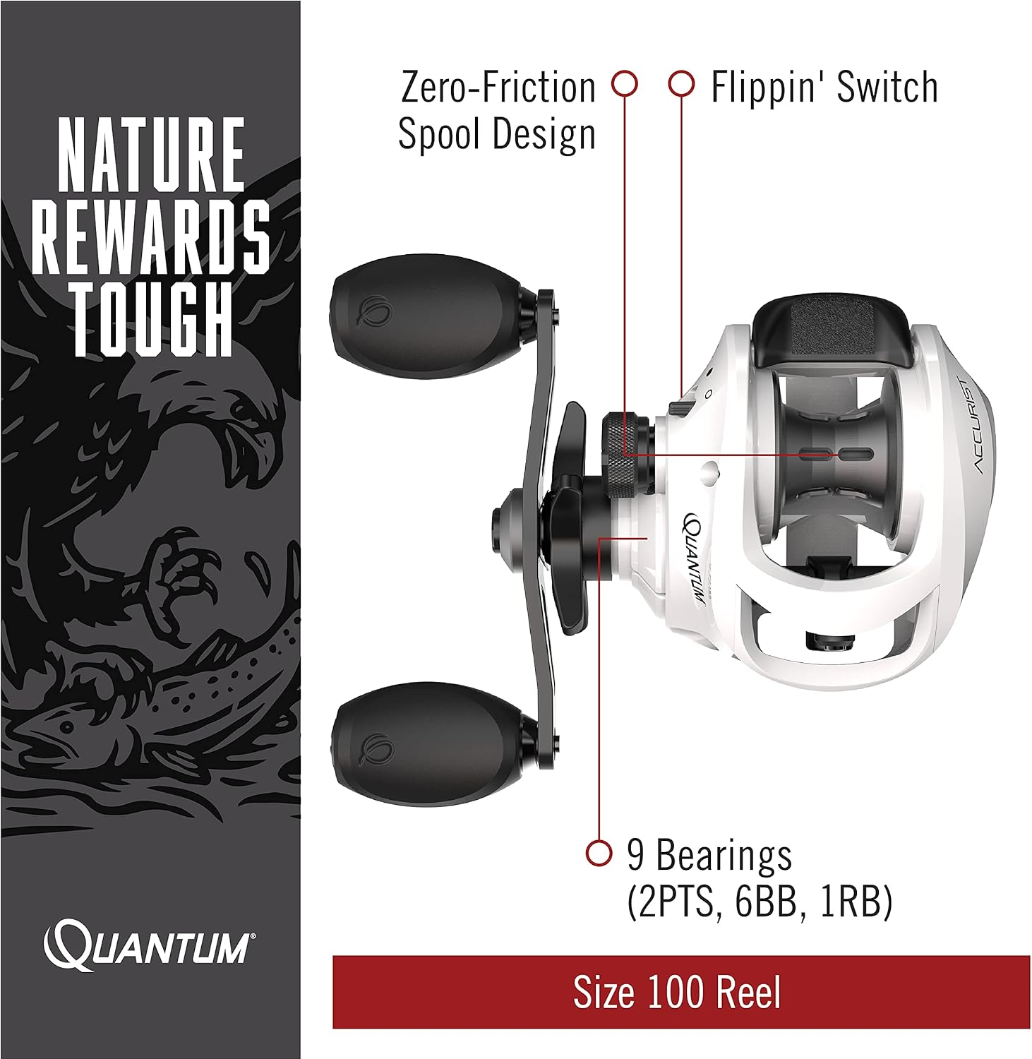 Quantum Accurist Baitcast Fishing Reel, Size 100 Reel, Oversized Non-Slip Handle Knobs and Continuous Anti-Reverse Clutch, One-Piece Aluminum Frame image number 3