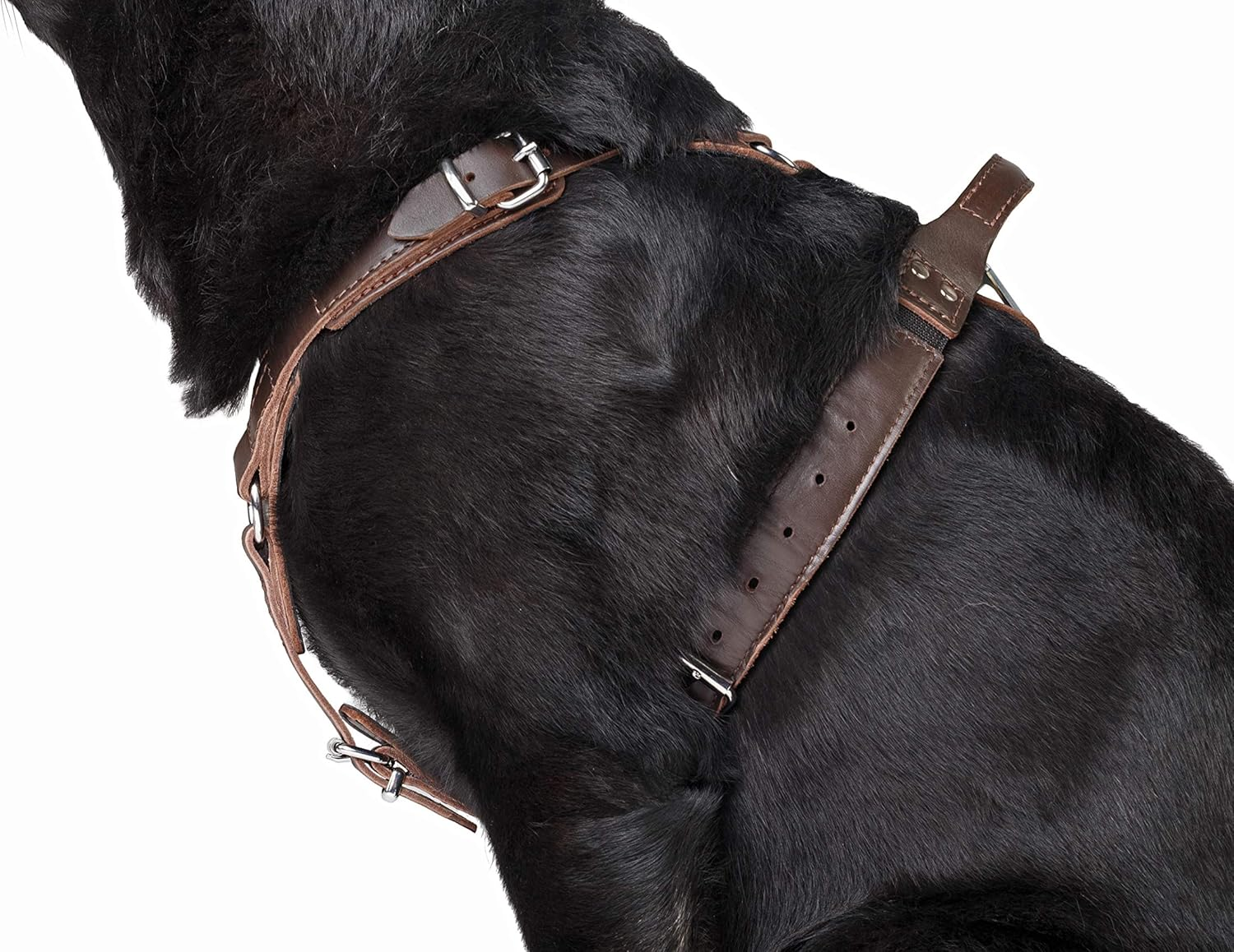 Dingo Gear Epic Dog Harness, Classic Leather with Almighty Safety System, Adjustable, Cushioned, Lined, Approved by Professionals, Size L, Brown (S05-18)