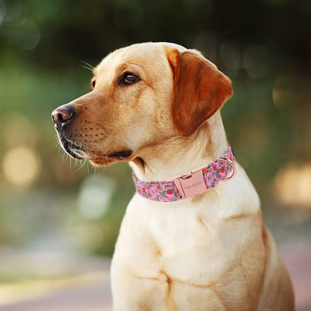 Unique Style Paws Summer Pink Strawberry Dog Collar Harnesses Collars & Leads for Collar Dog Wide Bow Tie Chain Dog Collar Pull Collar Gifts for Small Medium Large Dogs XS image number 5