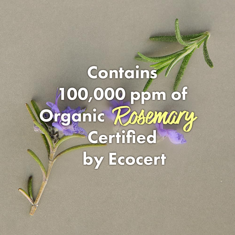 Real Mary Cold Brew Rosemary Balancing Scalp Pack W / Charcoal 200Ml image number 4