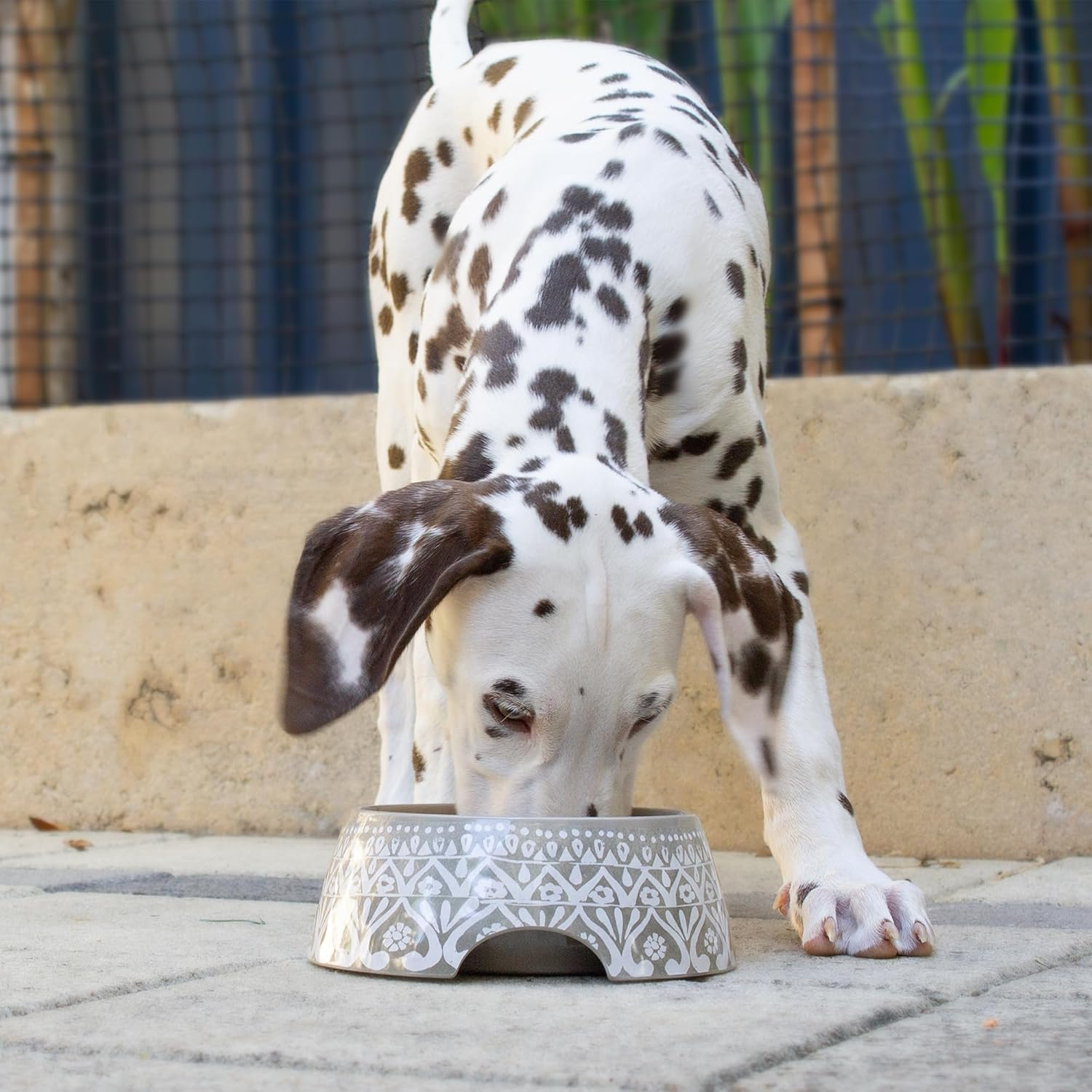 Barkley & Bella Dog Bowl Melamine Indi Medium, Brown - Dog Bowl, Gloss Finish, 100% Bpa-Free, Durable, Dishwasher-Safe, Non-Slip Base image number 2