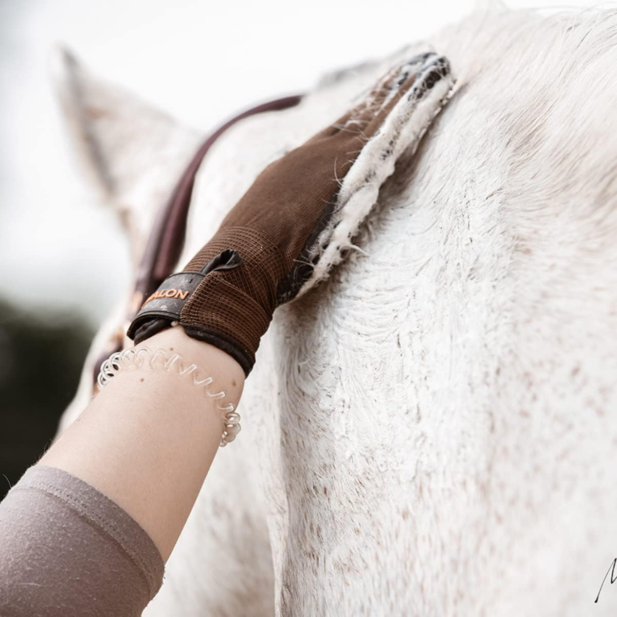 Animalon Soft Shampoo (Nourishing 500)