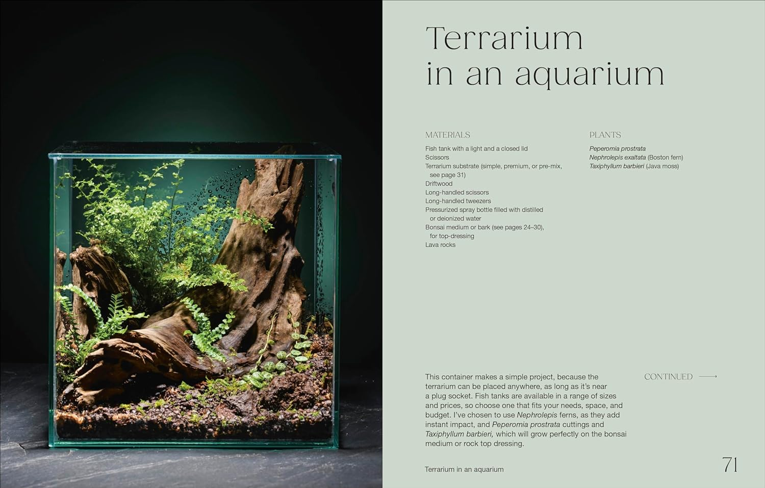 Hello Tiny World: an Enchanting Journey into the World of Creating Terrariums image number 5