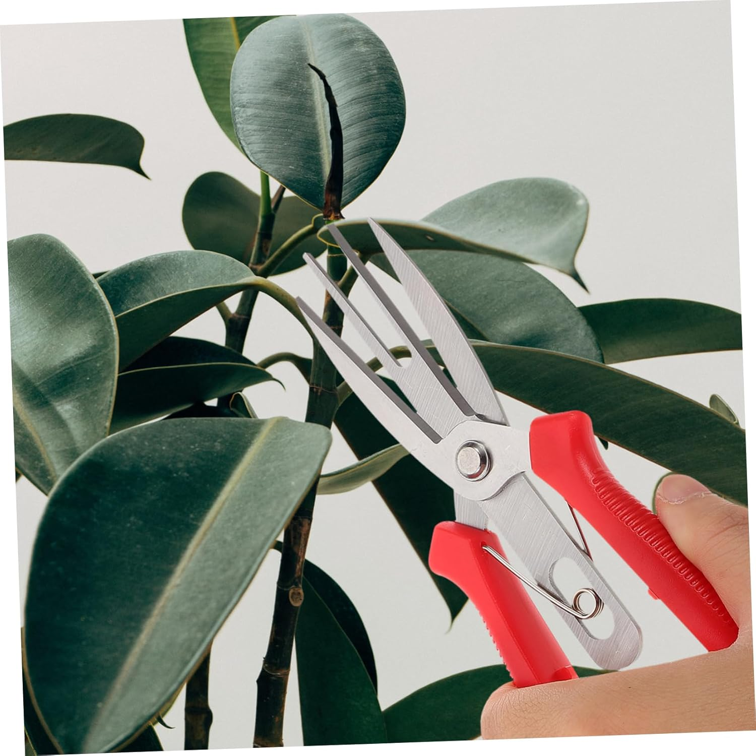 Kisangel Pruning Shears for Gardening Garden Shears Pruning Tool Handheld Scissor image number 6