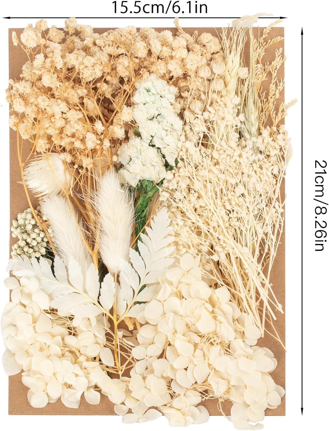 Dried Flowers, Dried Flower, White Dried Flowers Small Dried Flowers Dried Flowers for Crafts Dried Flowers for Resin Dried Flowers for Cakes image number 4