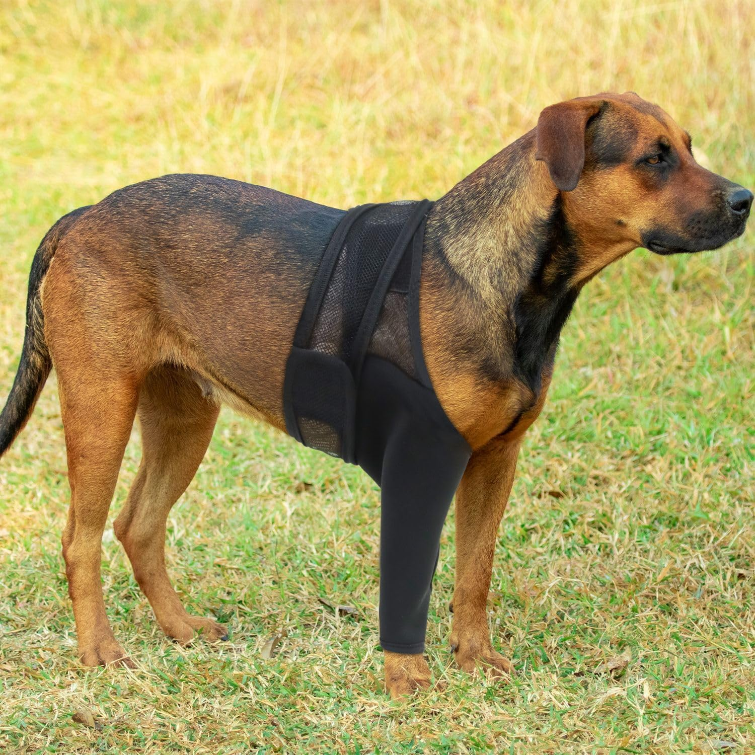 Dog Elbow Brace Protector Pads for Canine Elbow and Shoulder Front Leg Support for Dysplasia, Osteoarthritis, Pressure Sores, Shoulder Dislocation (Black, L) image number 2