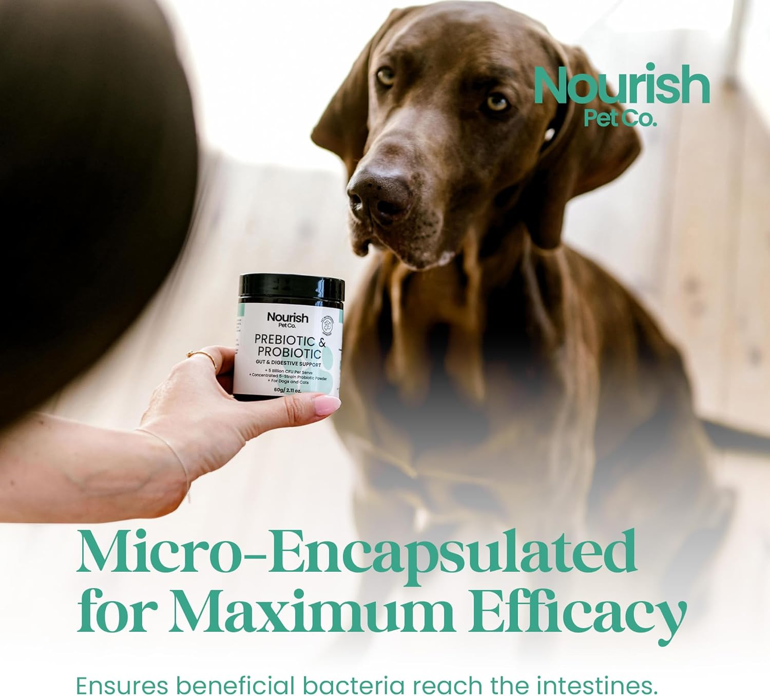 Nourish Pet Co. Gut Health Support for Pets - Prebiotics & Probiotics for Digestion & Immunity image number 5