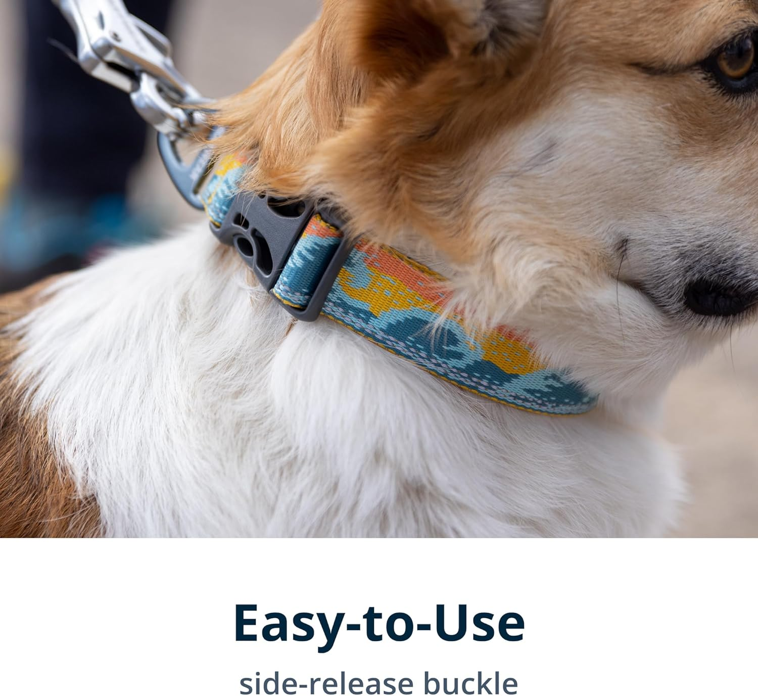 RUFFWEAR Crag Dog Collar, Large Dog Collar with Aluminium V-Ring, Adjustable Length, Pet Dog Collar, Comfortable Soft Collar, Premium Animal Collar with Dog Lead Attachment Ring image number 6