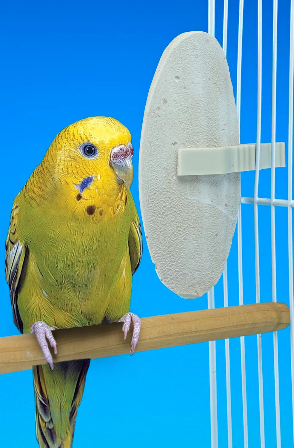 Penn Plax Bird Life E2 Natural Flavored Cuttlebone, 13 Cm Size (Pack of 2) image number 6