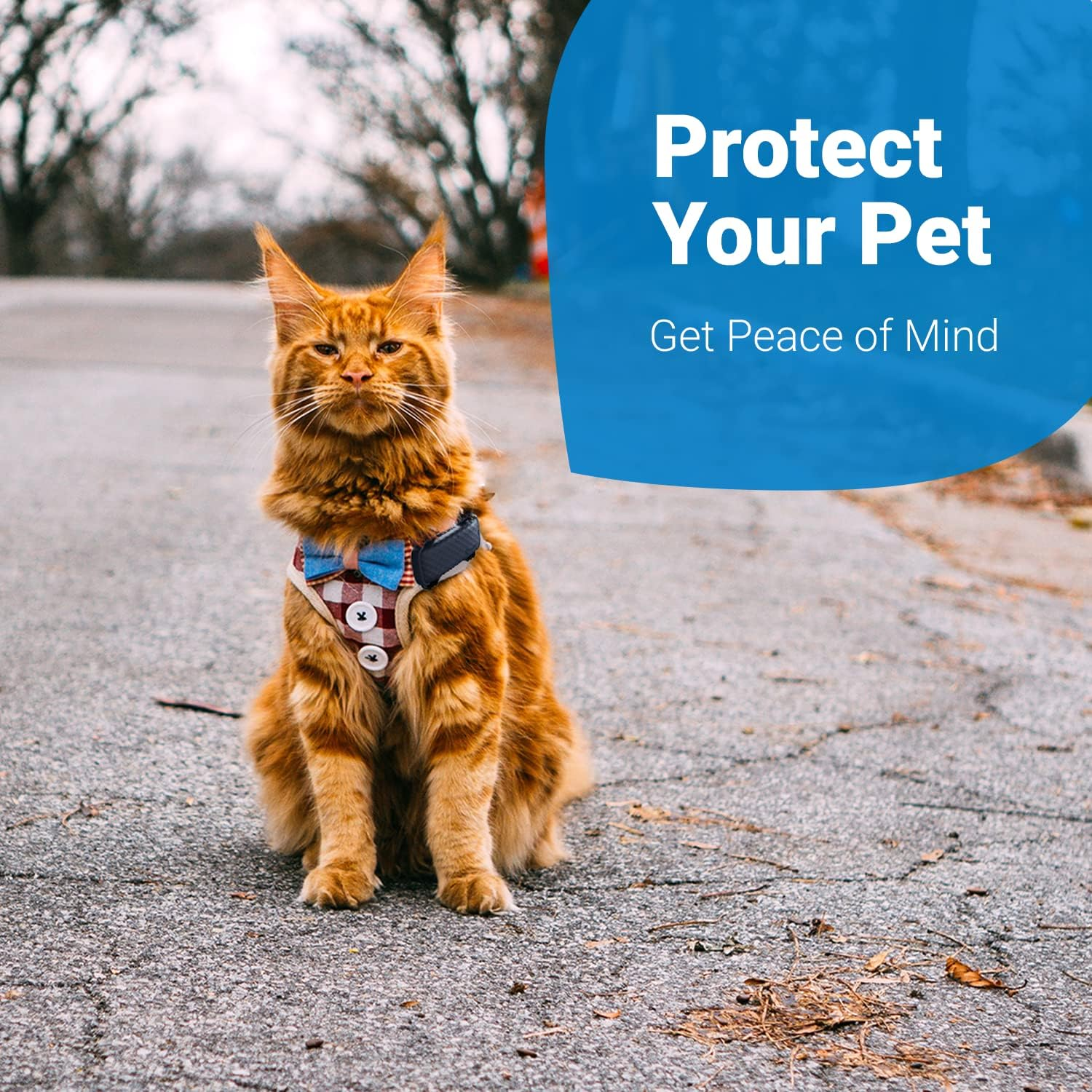 Tractive GPS CAT 4 Tracker Harness Attachment. Ideal for Cat Walks with Peace of Mind. (W/Velcro Straps), Black image number 3