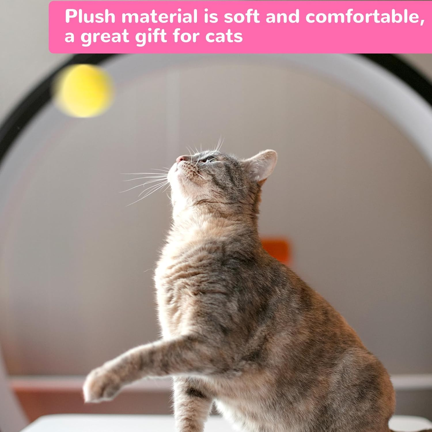 Pack of 50 Felt Balls for Cats 2.5 Cm Pompoms Balls Cat Toy Colourful Pom Poms Soft Plush Cat Balls Indoor Cat Interactive Pom Poms DIY Creative Craft Small Pom Poms (Multi-Colour)