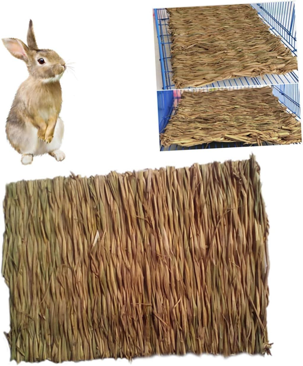 Bestonzon Seagrass Pet Mat and Chew Toy Bed 2Pcs 40X28Cm Natural Edible Grass Mat for Hamsters, Rabbits, and Small Animals Indoor Habitat Bedding