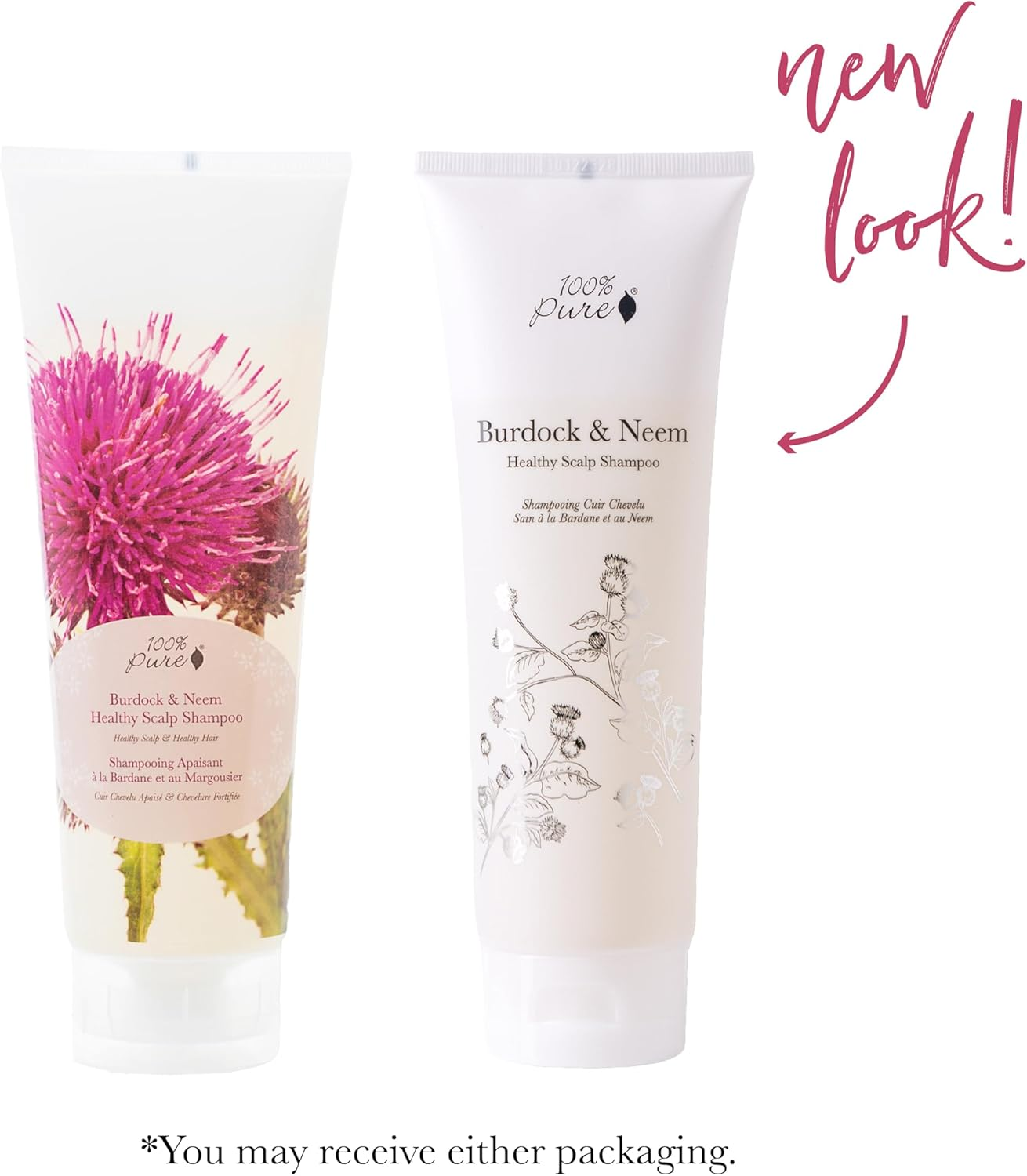 100% PURE Burdock & Neem Healthy Scalp Shampoo (8 Fl Oz), Sulfate-Free Shampoo for Dry, Itchy, Flaky Scalp, Dandruff Shampoo, Made with Coconut Oil, Vitamin E image number 5