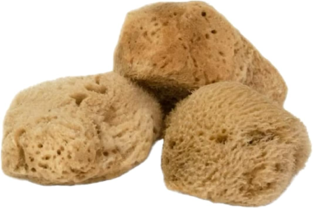 Intimatecare Sea Sponges. Mediterranean Sea Sponges in Plastic Free Packaging. Absolute Quality (Natural Brown, 3X 5.5-6.5Cm / 2-2.5In") image number 6