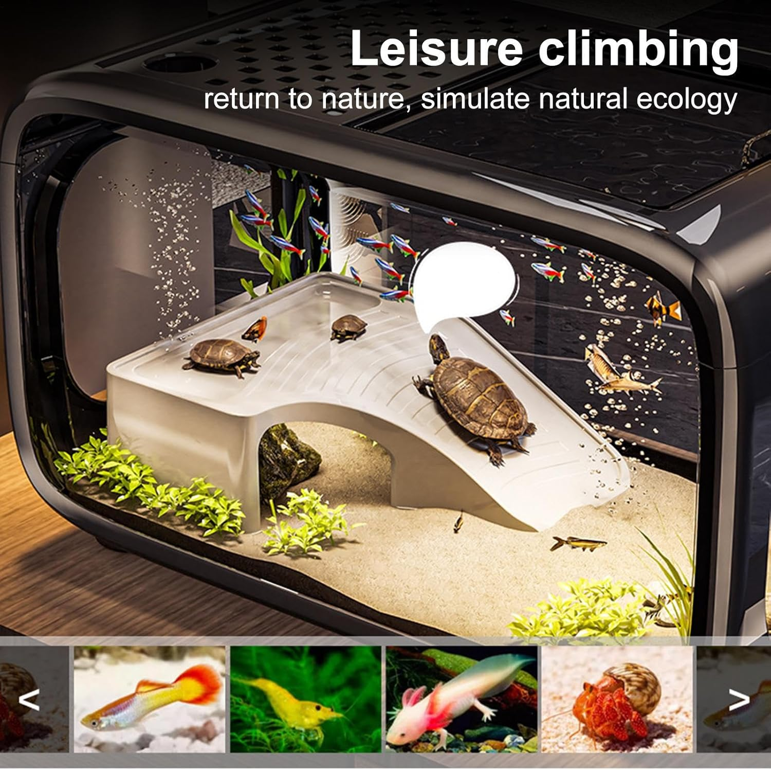 Desktop Fish Tank - Desktop Fish Bowl Turtle Tank - Acrylic Pet Care Aquatic Animals Container Bowl for Betta Shrimp Turtle Aquatic Planting Landscape Display image number 6