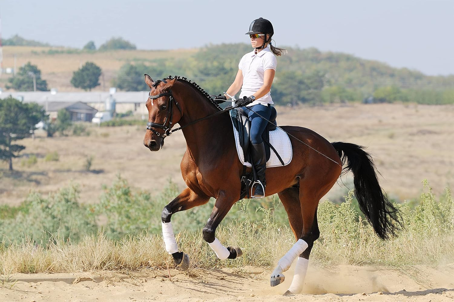 Equine Synergy 'Movin' and Groovin' JOINT COOKIES with TURMERIC for Maintaining Optimal Mobility image number 6