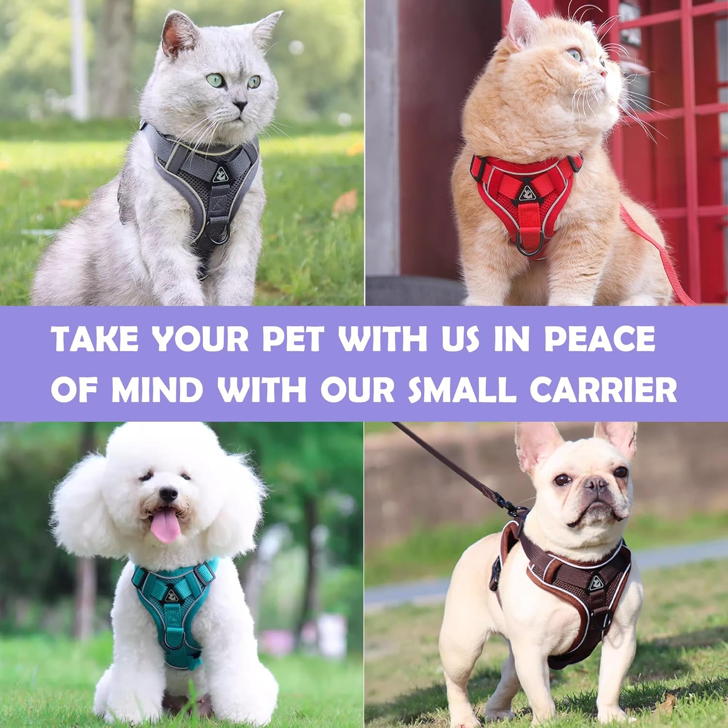 Tikxlafe Cat Harness with Leash, 150 Cm, Cat Leash with Harness, Polyester, Adjustable Cat Leash Set, Escape Proof for Kittens (Red, S) image number 1