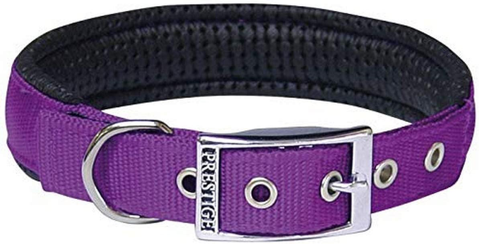 Prestige Pet Products Soft Padded Collar, 1" X 22" (56Cm), Purple