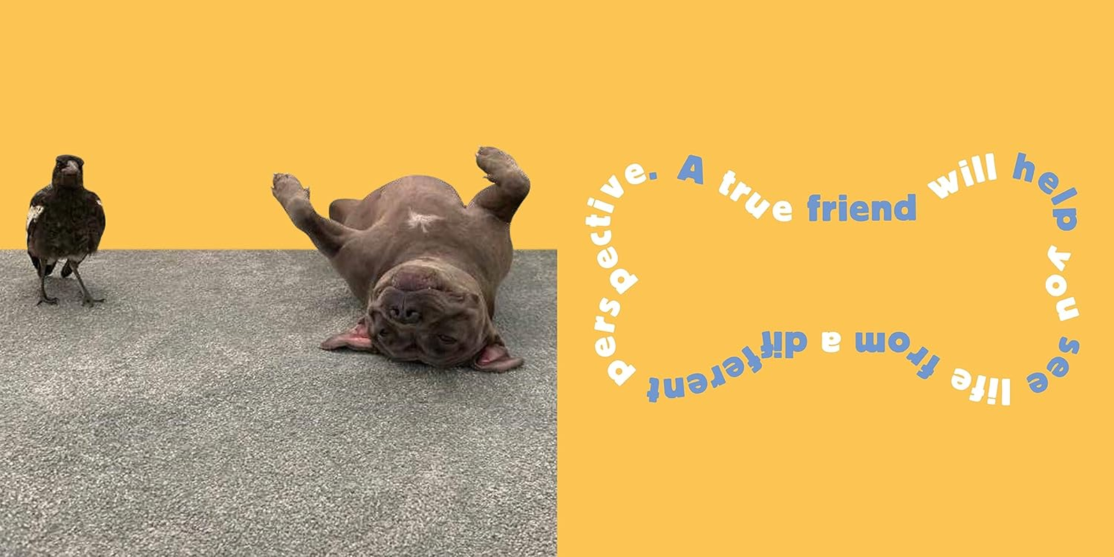 Peggy and Molly: Be Kind, Be Humble, Be Happy image number 1