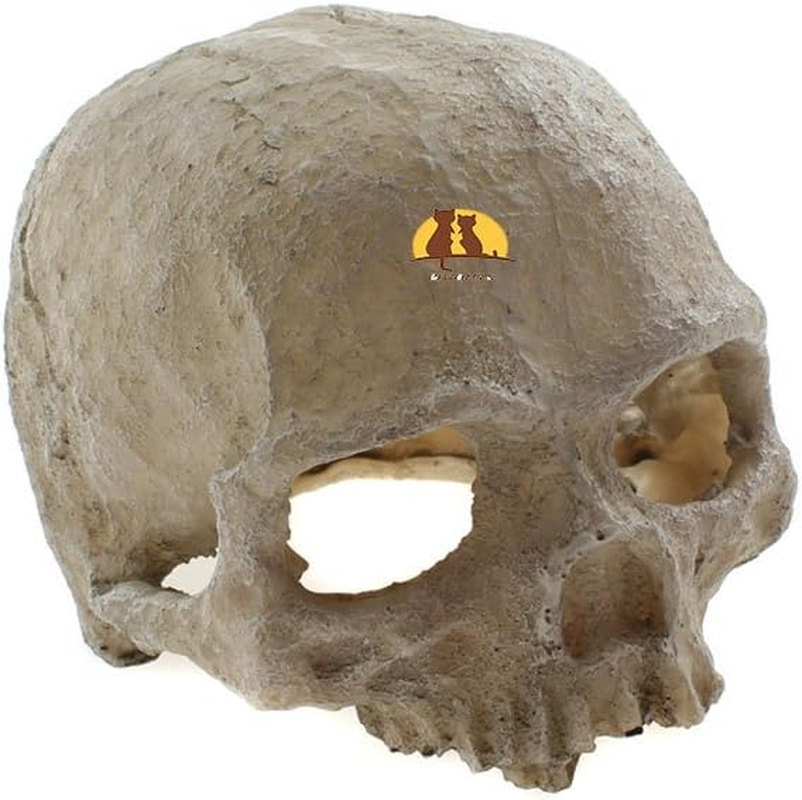 Emours Reptile Hideout Skull Vivarium Aquarium Fish Tank Resin Ornament Cave Decoration image number 2