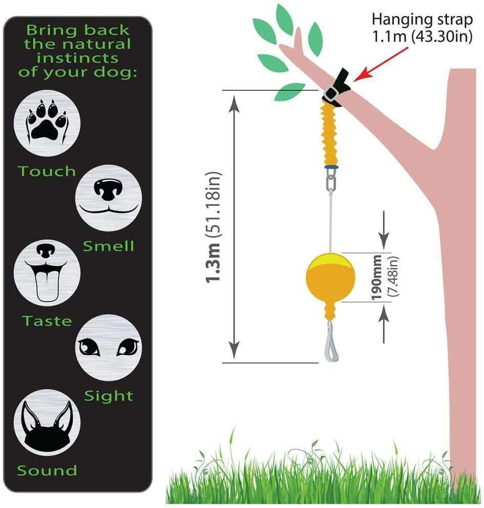 Aussie Dog Home Alone, XL, XL, Yellow image number 6