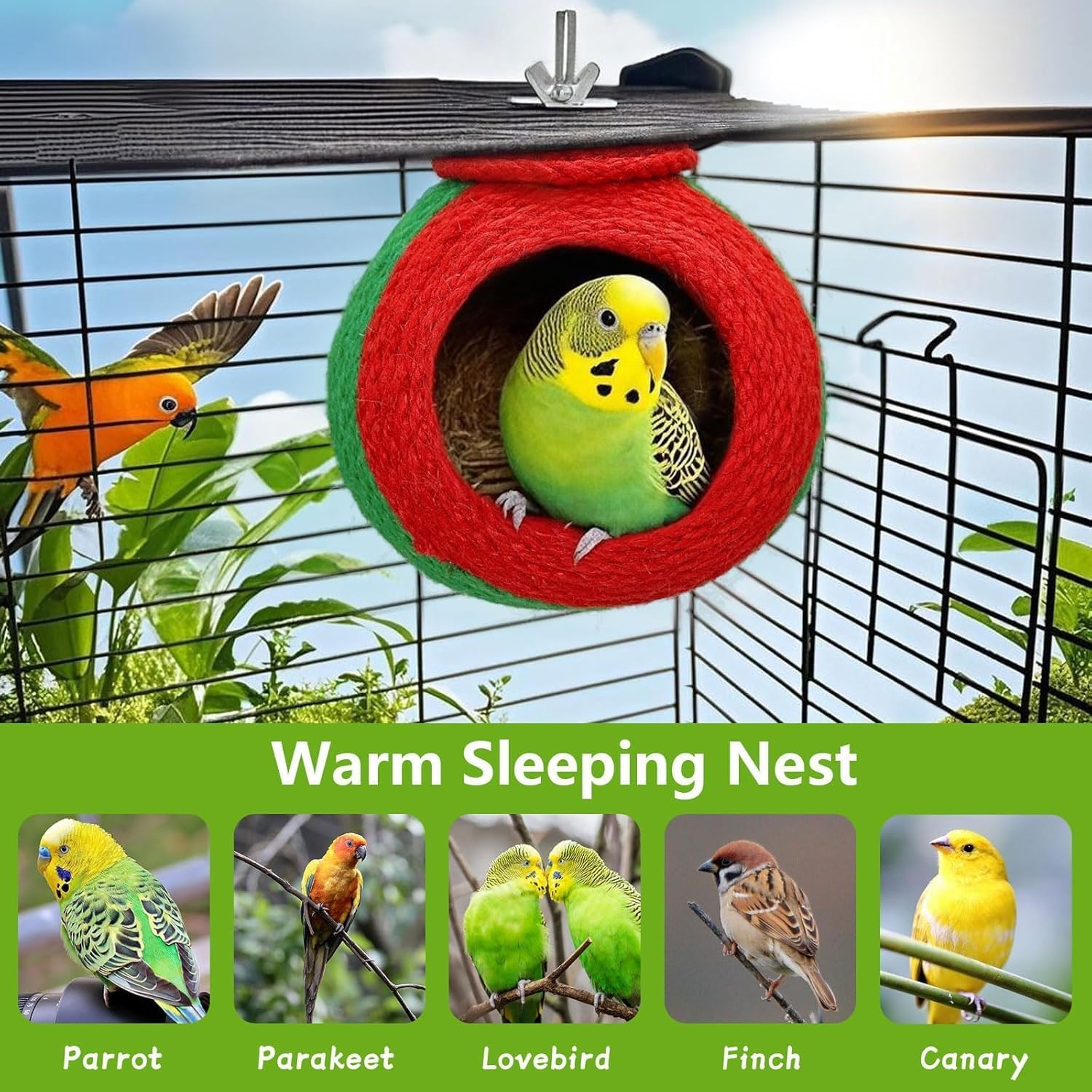 Kathson Bird Nest, Parrot Rearing House, Parakeet Hut Made of Coconut Shell, Hanging Budgie Nesting House with Coconut Fibre, Cockatiel Bed for Parakeet Lovebird image number 4