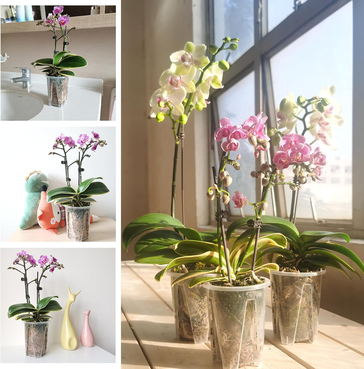 Orchid Pot, 3.9''W &times; 4.8''H 6 Pack,Orchid Pots with Holes,Sturdy Clear Plastic Orchid Pot for Repotting, Flower Plant Pot for Orchids Planter