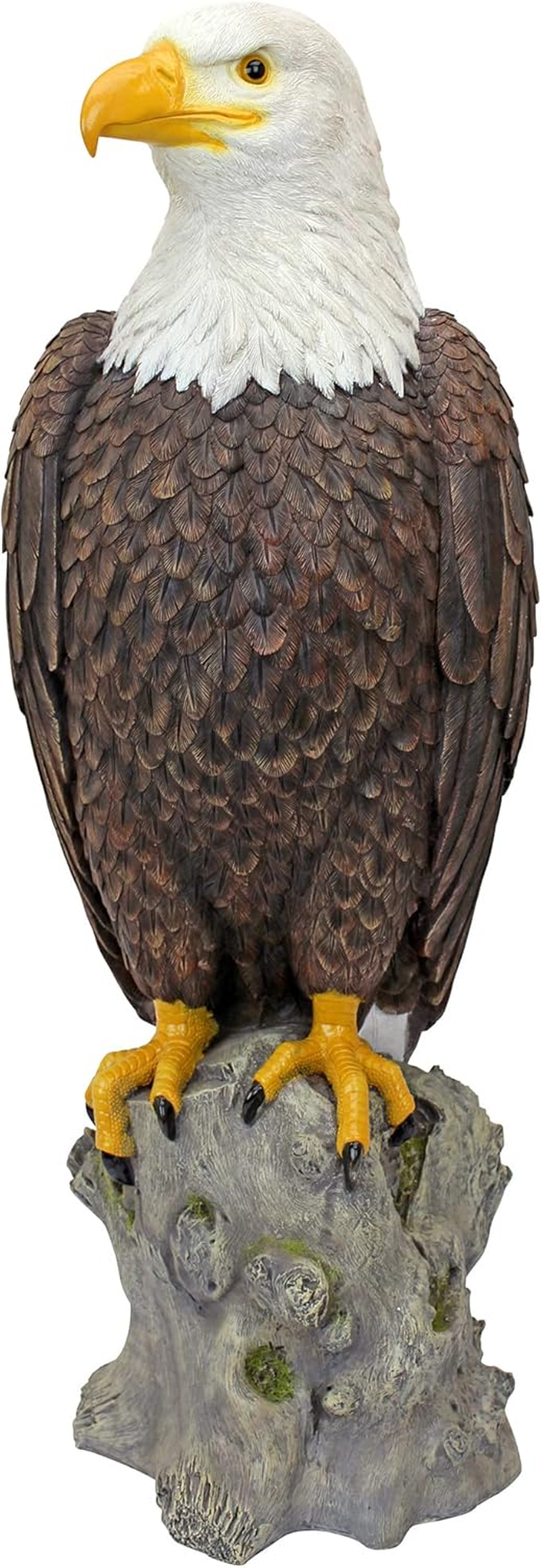 Liberty'S Flight Eagle Wall Sculpture [Kitchen] image number 6