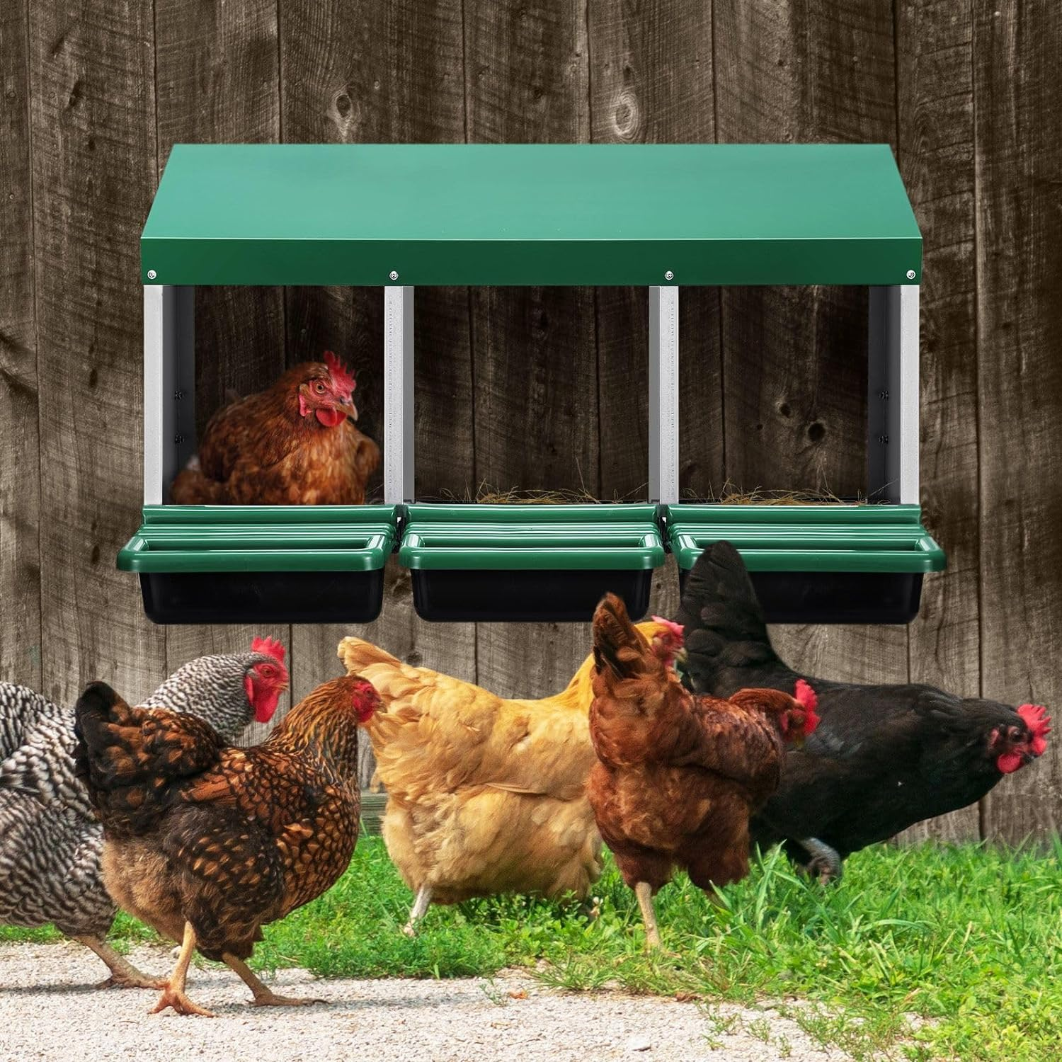 Chicken Nesting Box 3 Compartments Roll Away Hen Chook Laying Nest Boxes Coop Poultry Egg Brooder Roost Perch Galvanised Steel Plastic with Stand image number 2