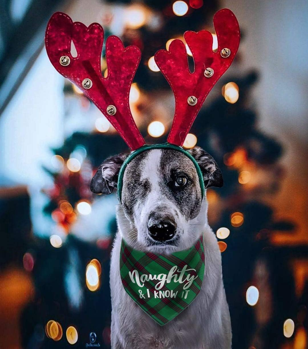 JPB Dog Christmas Bandanas Plaid Reversible Triangle Bibs Scarf Accessories for Dogs Cats image number 1