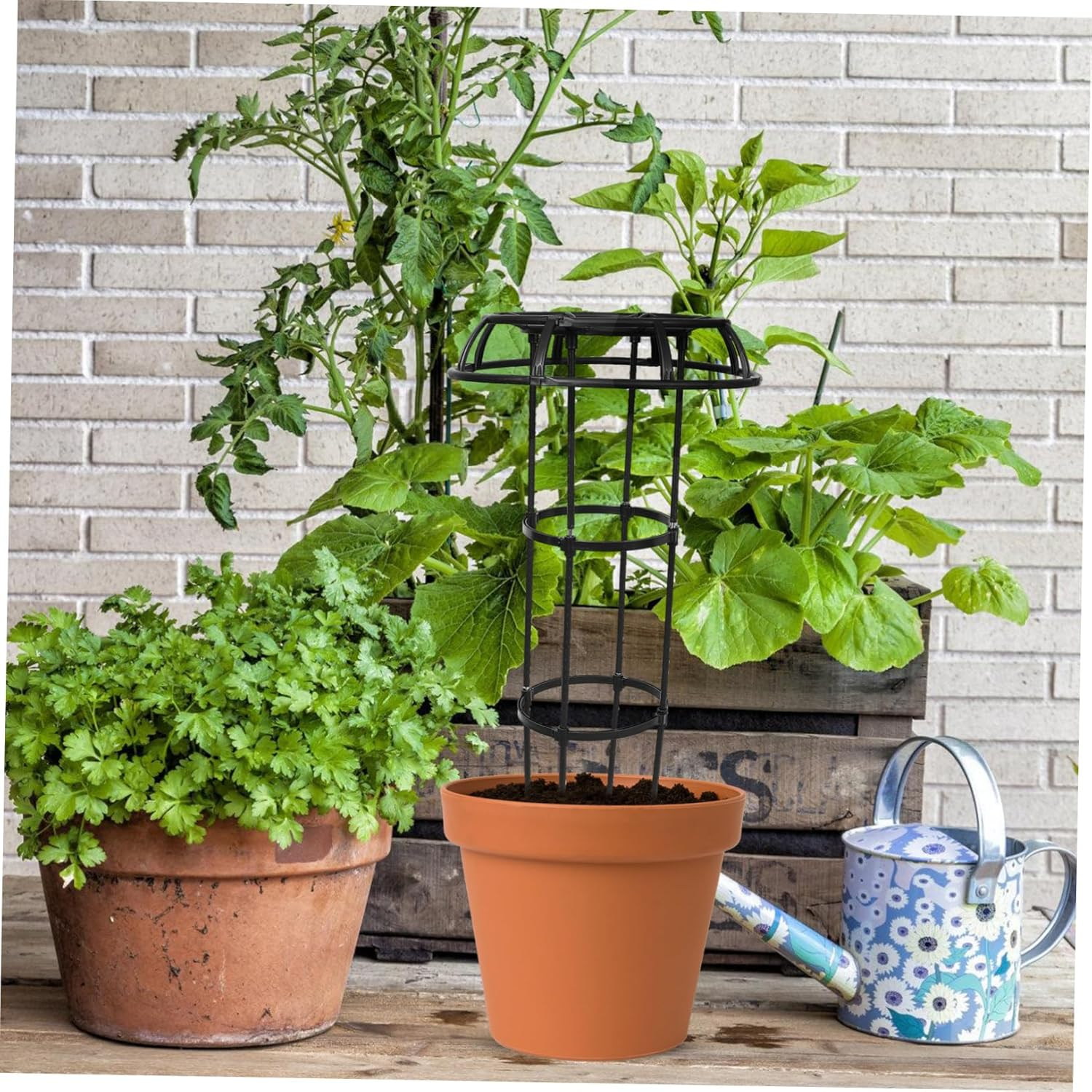 SEWOART Plant Supporting Rack Garden Trellis for Indoor Plants Garden Supplies Climbing Stands image number 3